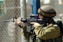 مقتل فلسطيني برصاص الإحتلال الإسرائيلي في الضفة الغربية