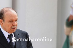 بوتفليقة: أدعو كافّة الشّركاء الإقتصاديين للعمل يدا واحدة لخدمة الجزائر