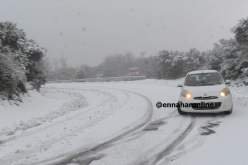 الثلوج تغلق عدة طرقات بالولايات الشرقية للوطن