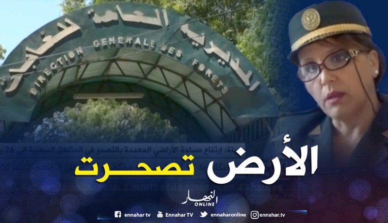 برنامج وطني لمحاربة التصحر في الولايات السهبية