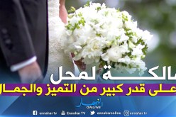 أنتظر ابن الحلال من يحملني إلى دنيا المحبة والدلال