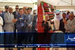 إليزي : موسى دادة يؤكد على تكييف مجالات التكوين مع متطلبات سوق الشغل