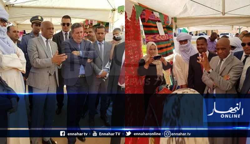 إليزي : موسى دادة يؤكد على تكييف مجالات التكوين مع متطلبات سوق الشغل