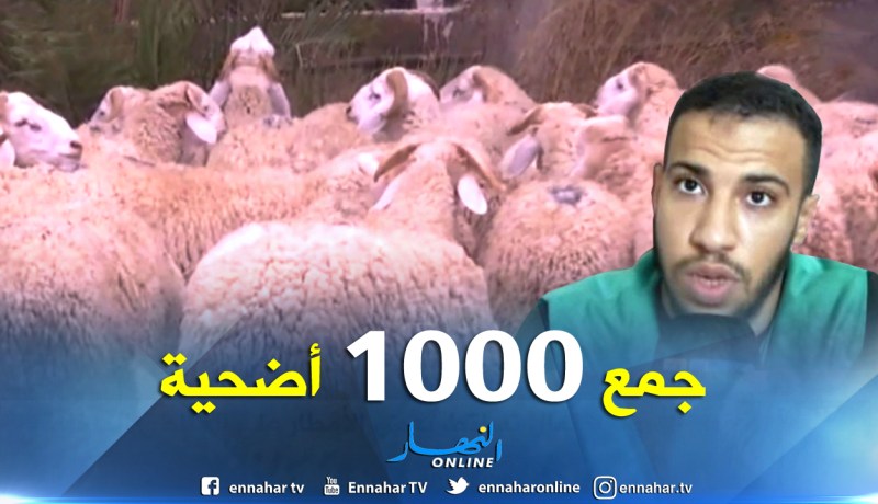 هكذا تعمل جمعية كافل اليتيم على إسعاد اليتامى قبيل عيد الاضحى