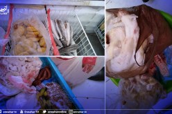 سيدي بلعباس حجز وإتلاف 29 كلغ من المرقاز و أحشاء الدواجن