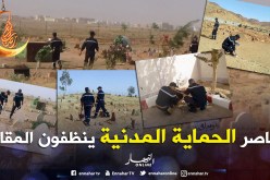 النعامة: الحماية المدنية تنظم حملة لتنظيف المقابر