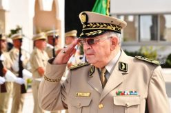 كبار المسؤولين يشرعون في إلقاء النظرة الأخيرة على جثمان الفريق ڨايد صالح