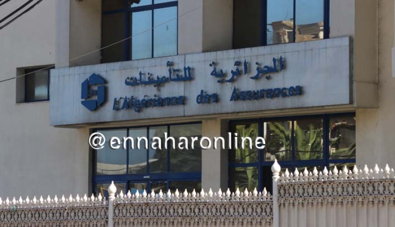 خليفاتي: الزيادة في سعر التأمينات لن تتعدى 100 دينار