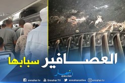 الطيور تسببت في احتراق جناح طائرة الجوية الجزائرية أمس 