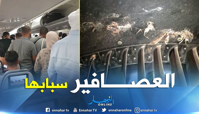 الطيور تسببت في احتراق جناح طائرة الجوية الجزائرية أمس 