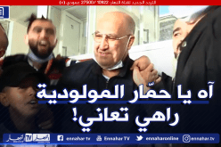 بالفيديو.. الشناوة يُريدون حمّار رئيسا للمولودية