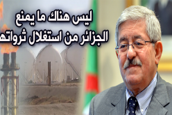 أويحيى يتهم المعارضين لمشروع الغاز الصخري بالتحريض السياسي