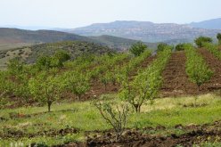 افتتاح أشغال ندوة حول المنشآة الوطنية للمعطيات الجغرافية بالجزائر العاصمة