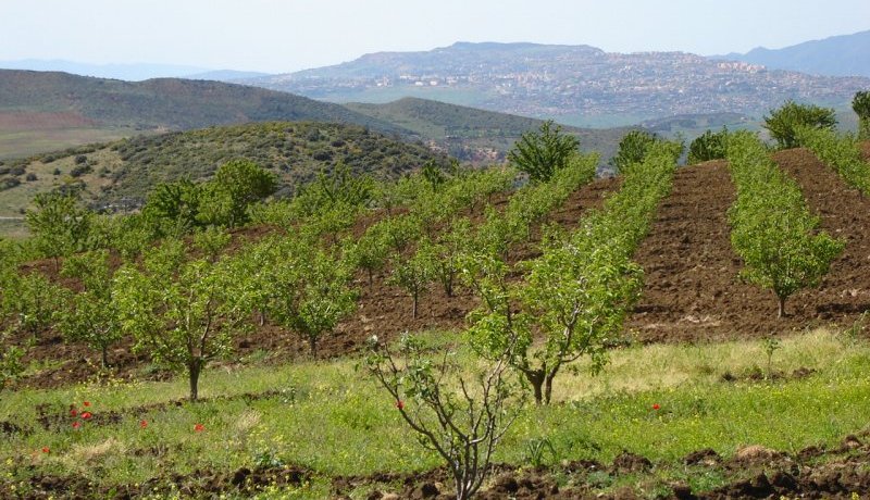 افتتاح أشغال ندوة حول المنشآة الوطنية للمعطيات الجغرافية بالجزائر العاصمة
