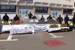 بالصور.. تفكيك شبكة إجرامية منظمة وحجز 3 قناطير كيف و1 كلغ من الكوكايين في وهران