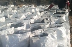 توقيف شخص وحجز 41 قنطارا من مادة الفحم بقالمة