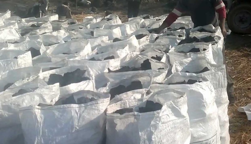 توقيف شخص وحجز 41 قنطارا من مادة الفحم بقالمة