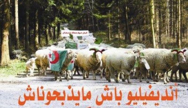 الوزراء عنتر زياني ومقني الأبطال لا يذبحون