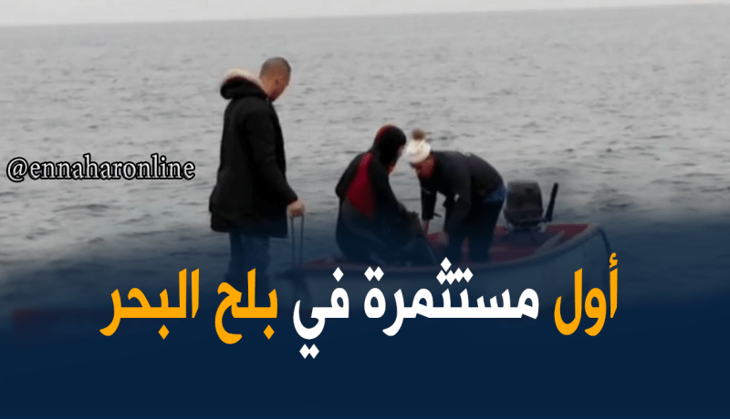 لأول مرة مشروع تربية بلح البحر في مستغانم