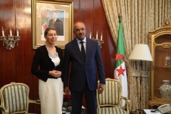 بالصور.. بدوي يستقبل سفيرة النمسا