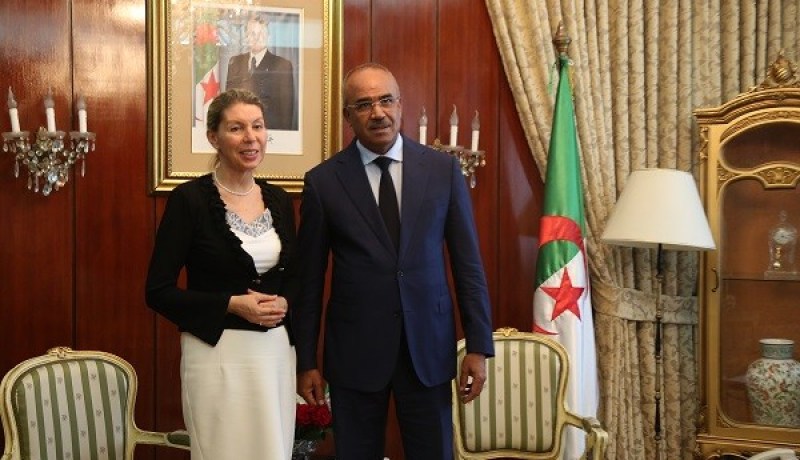 بالصور.. بدوي يستقبل سفيرة النمسا