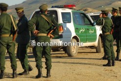 الدرك يحبط تهريب 150 قنطار من “النخالة” بشطيبو في وهران