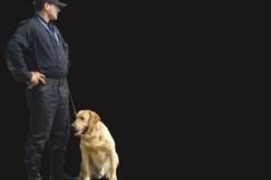 عقوبات صارمة في حق شركات الحراسة