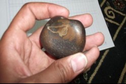 العثور على حجر من ''سجيل'' يعود لحادثة الفيل قبل 14 قرنا ونصف