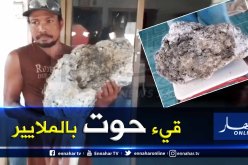 كنز العمر.. عامل نظافة تايلاندي يجد حجرًا غريبًا