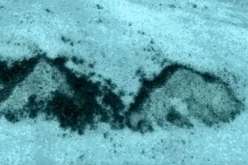 بالفيديو.. أهرامات غريبة في قاع المحيط الأطلسي