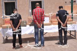 البليدة.. أمن دائرة موزاية يسجل 113 قضية خلال 3 اشهر