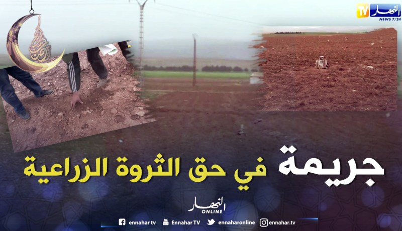 الشيخ النوي..أرض فلاحية حبو يستغلوها للبناء الريفي