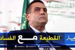 عبد العزير بلعيد : تطبيق المادة 7 و8 يكون من خلال الانتخابات