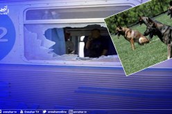 إستخدام الكلاب المدربة لمحاربة ظاهرة رشق القطارات بالحجارة