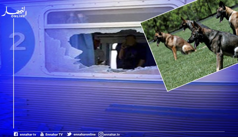 إستخدام الكلاب المدربة لمحاربة ظاهرة رشق القطارات بالحجارة