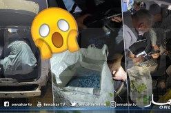 حجز 340 ألف حبة مهلوسة من نوع إيكستازي بميناء وهران