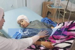 المسيلة : هذا ما فعله كلب بـ 5 أطفال ببلدية الهامل