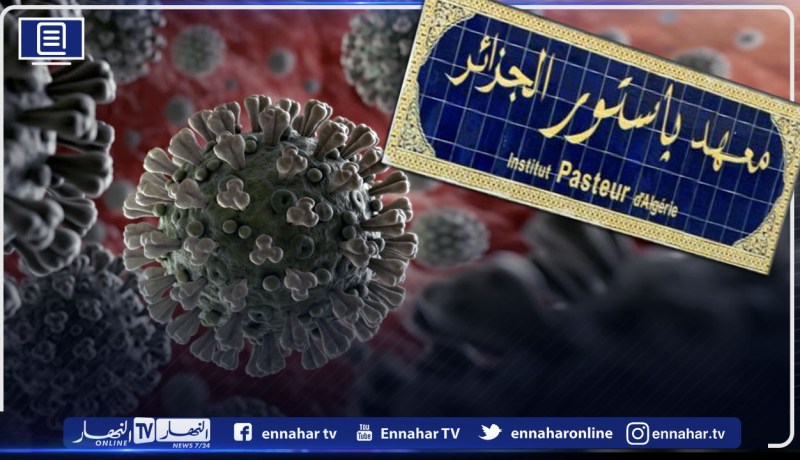 كورونا في الجزائر: توزيع السلالة البريطانية والنيجيرية حسب الولايات