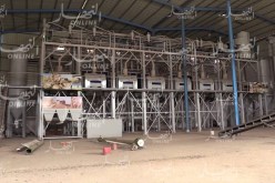 عليوي: “340 مطحنة متوقفة تتلقى الدعم من قبل الدولة”