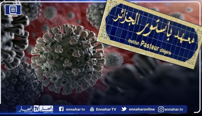 تعرف على توزيع الإصابات الجديدة بسلالات كورونا المتحورة حسب الولايات