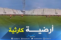 بالفيديو … البنينيون يتعمدون عدم عَشب أرضية الميدان  !!