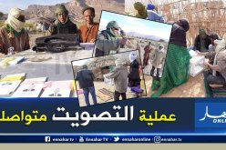 رئاسيات 2019: البدو الرحل يواصلون عملية التصويت في إليزي