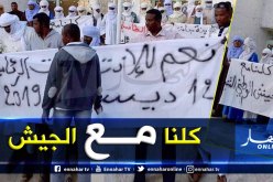 بالفيديو والصور .. مسيرة داعمة للجيش والرئاسيات بجانت في إليزي