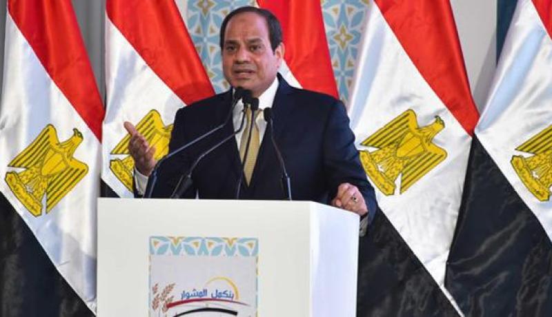 السيسي يقول حل القضية الفلسطينية يجعل السلام مع إسرائيل أكثر دفئا