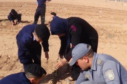 أشبال الأمة بالأغواط يغرسون 7000 شجيرة
