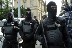 الجيس مكسب إضافي للقوات البرية