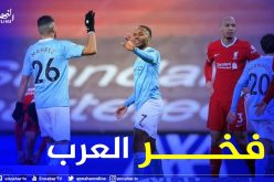 محرز يتصدر تشكيلة الموسم للدوري الإنجليزي