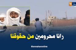 نقص الأعلاف والمناطق الرعوية.. مشاكل تهدد ثروة الإبل