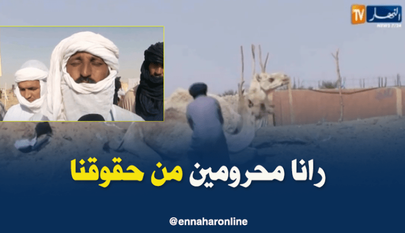 نقص الأعلاف والمناطق الرعوية.. مشاكل تهدد ثروة الإبل