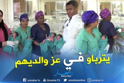 بالصور.. عائلة بوشارب ترزق بـ 04 توائم بعد عملية قيصرية ناجحة بالجلفة
